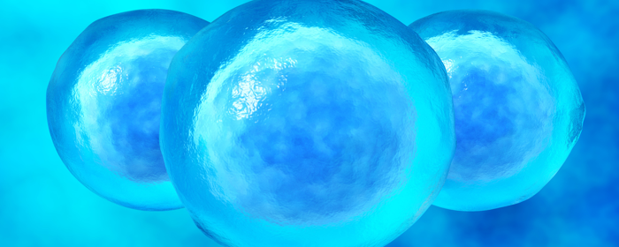 The Safety and Effectiveness of Stem Cell Treatment as an Emerging Approach for ALS