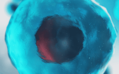 Utilizing Mesenchymal Stem Cells for Spinal Cord Injury Therapy