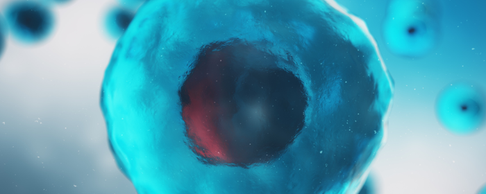 Utilizing Mesenchymal Stem Cells for Spinal Cord Injury Therapy