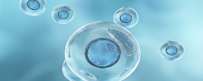 Administration of Adipose-Derived Mesenchymal Stem Cells via Intrathecal Injection for Traumatic Spinal Cord Injury