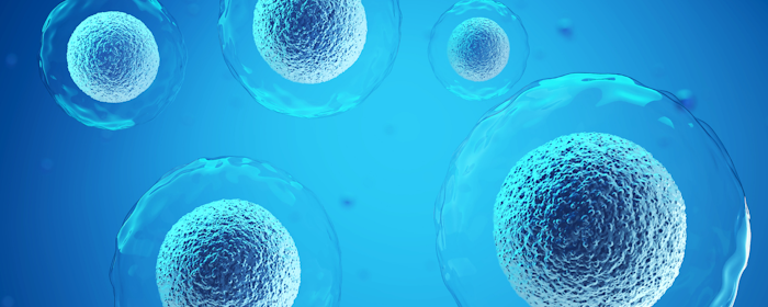 Long-Term Efficacy and Safety of Mesenchymal Stem Cell Therapy in Decompensated Liver Cirrhosis: A Randomized Controlled Trial