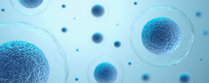 Mechanisms Behind the Protective Effects of Mesenchymal Stem Cell Therapy