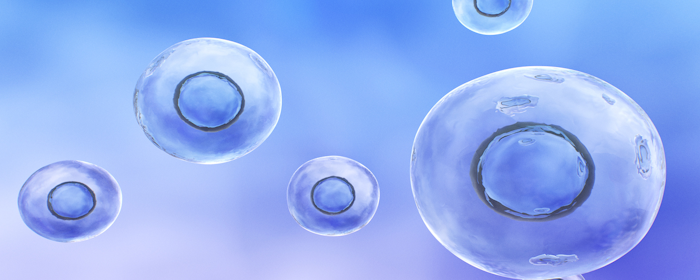 Mesenchymal Stem Cell-Derived Neural Progenitors in Progressive MS