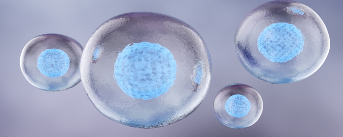 Mesenchymal Stem Cells and Exosomes: A New Frontier in Treating Intervertebral Disc Disease