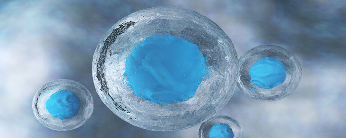 Present State of Mesenchymal Stem Treatments for Neurological Disorders