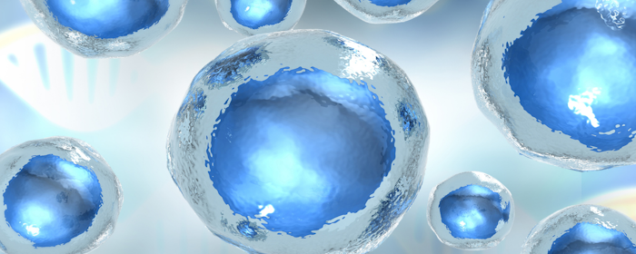 Regenerative Medicine and Cartilage Regeneration