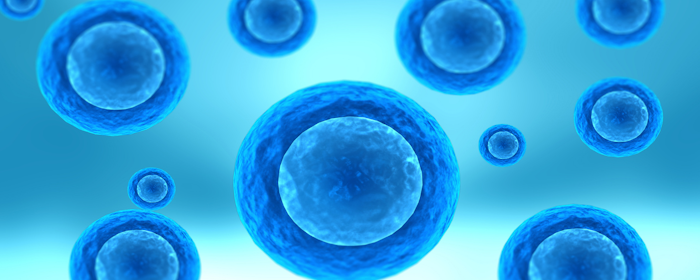 Advancements in Mesenchymal Stromal Cell Therapy for Cartilage Regeneration in Knee Osteoarthritis