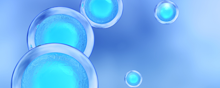 Exploring The Efficacy and Safety of Mesenchymal Stem Cell Transplantation in Autoimmune Conditions