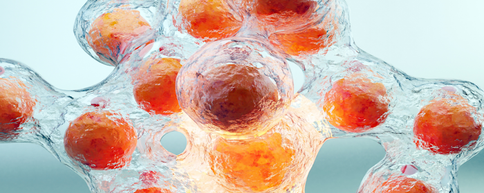 CELLTOP Clinical Trial: Phase 1 Findings on Adipose-Derived Stem Cell Therapy for Spinal Cord Injury Paralysis