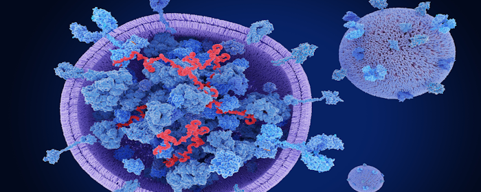 Clinical Evaluation of Exosomes for Treating Low Back Pain: A Comprehensive Review