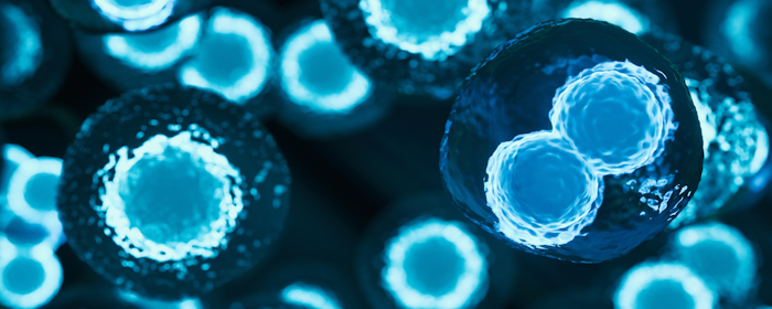 Mesenchymal Stem Cells and Spinal Cord Injury: A Promising Path to Recovery