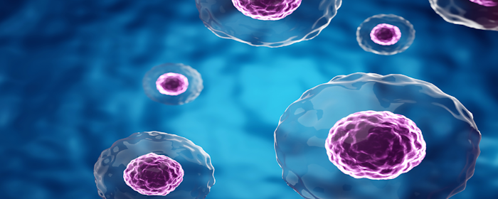 Mesenchymal Stem Cells for Spinal Cord Injury: Mechanisms, Advances, and Future Challenges