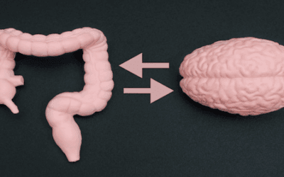 The Connection Between Gut Health and Mental Health