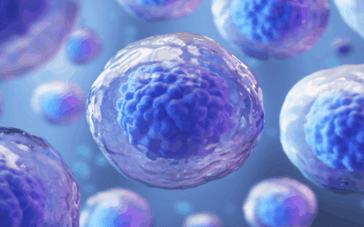 Mesenchymal Stem Cell Therapy for Multiple Sclerosis: Promising Results from Clinical Research