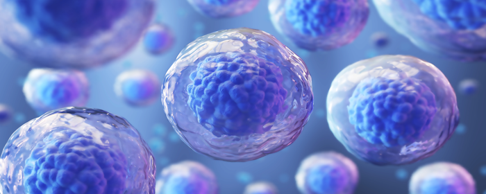 Mesenchymal Stem Cell Therapy for Multiple Sclerosis: Promising Results from Clinical Research