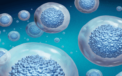 Mesenchymal Stem Cells for Degenerative Disc Disease