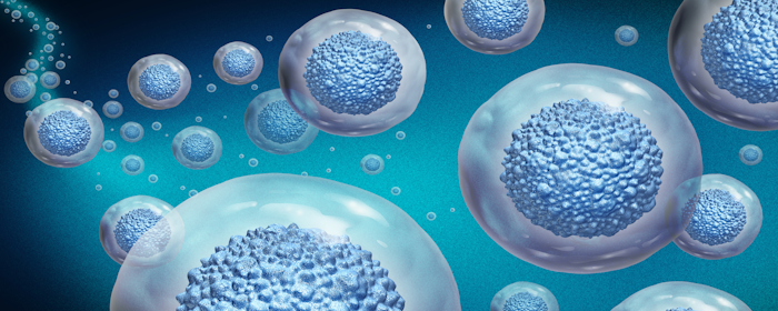 Mesenchymal Stem Cells for Degenerative Disc Disease