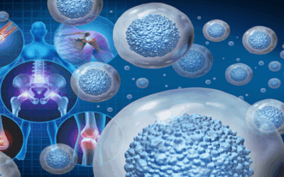 Mesenchymal Stem Cells in Regenerative Medicine: Mechanisms, Clinical Progress, and Future Directions