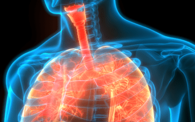 Mesenchymal Stromal Cell–Derived Extracellular Vesicles: A Promising Therapeutic Strategy for Pulmonary Fibrosis