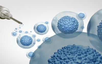 Understanding the Safety of Mesenchymal Stromal Cell Therapy