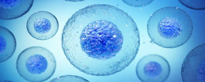 Stem Cell Therapies: A New Era in the Treatment of Multiple Sclerosis