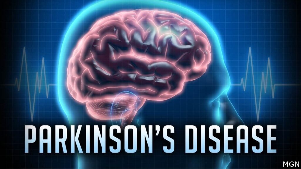 Medical illustration of the brain highlighting areas affected by Parkinson’s disease