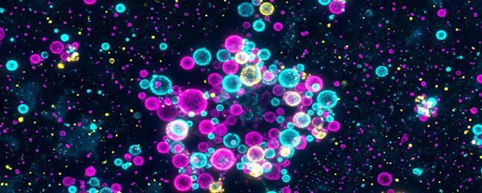MSC-Derived Extracellular Vesicles: Mapping the Future of Cell-Free Regenerative Medicine