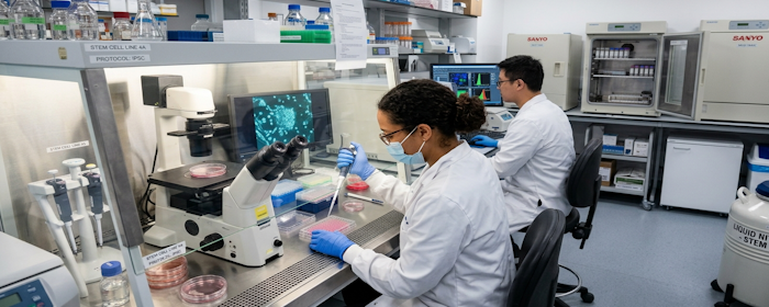 Umbilical Cord MSCs and Transplant Recovery: A New Look at Immune Support