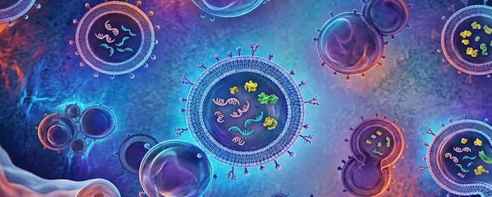 Umbilical Cord MSC Exosomes and Disc Health: A New Look at Back Pain Research