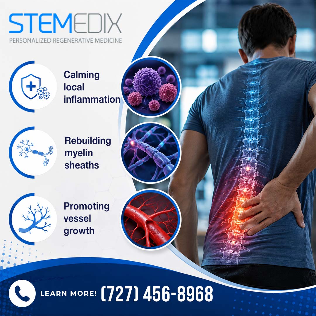 Man holding his lower back with an illuminated spine graphic showing inflammation, accompanied by circular insets depicting cellular inflammation control, myelin sheath rebuilding, and blood vessel growth.